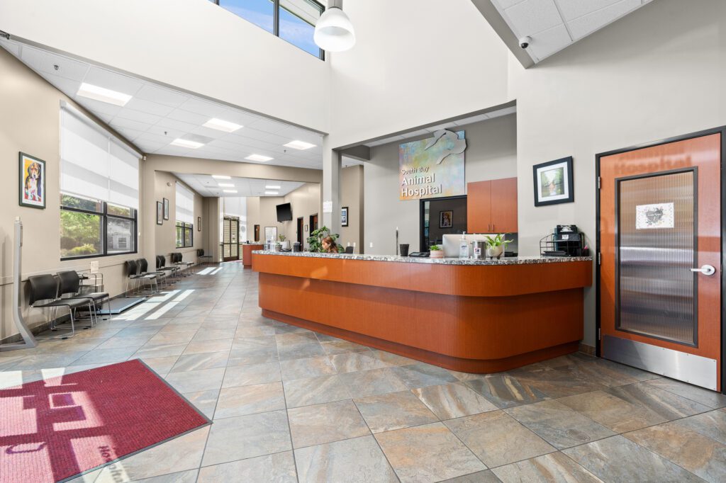 Vet Near Me San Jose, CA 95129 South Bay Animal Hospital And Emergency