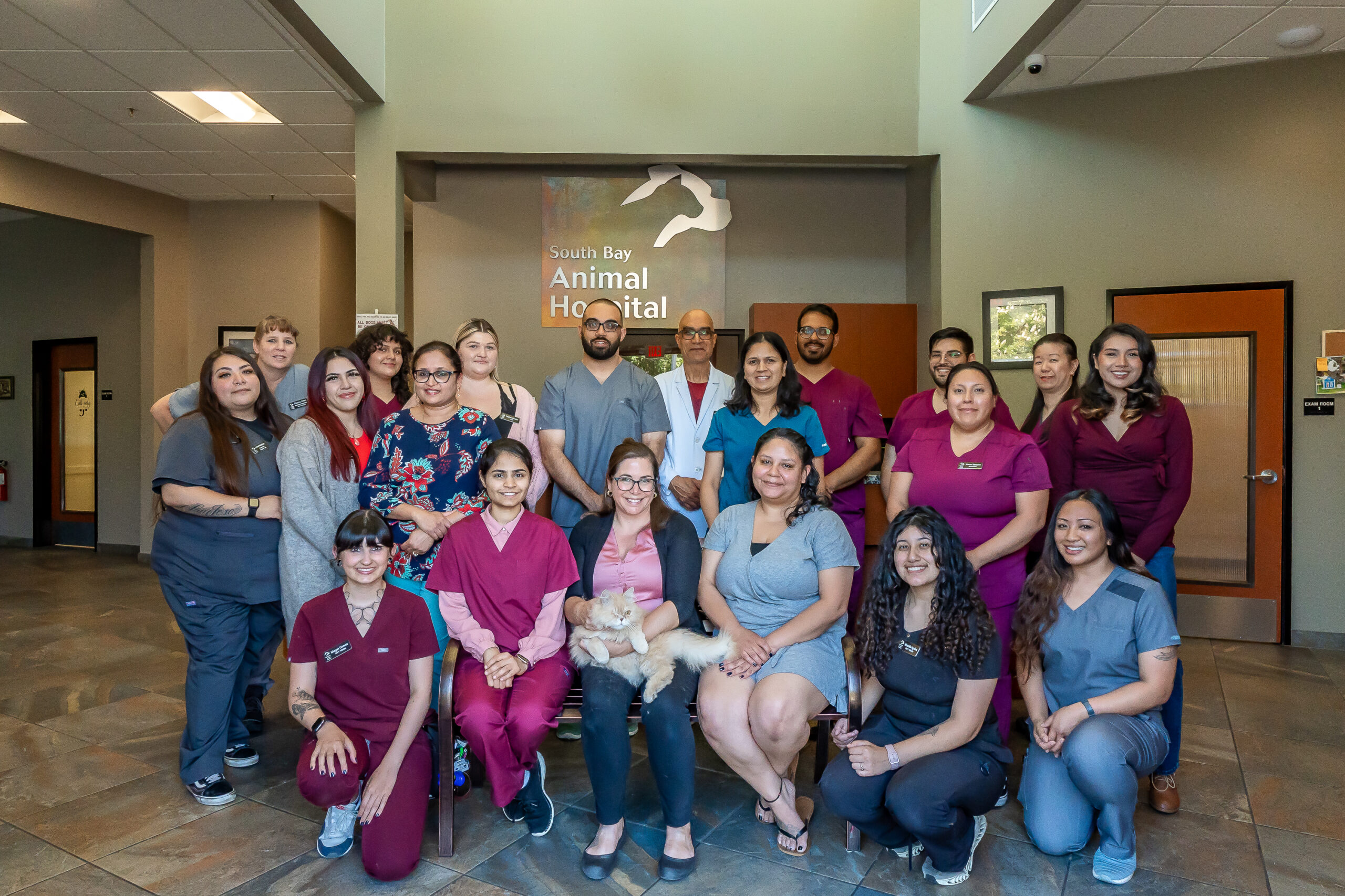 South Bay Animal Hospital Team