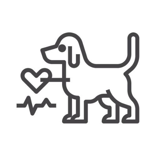 Pet cardiology icon