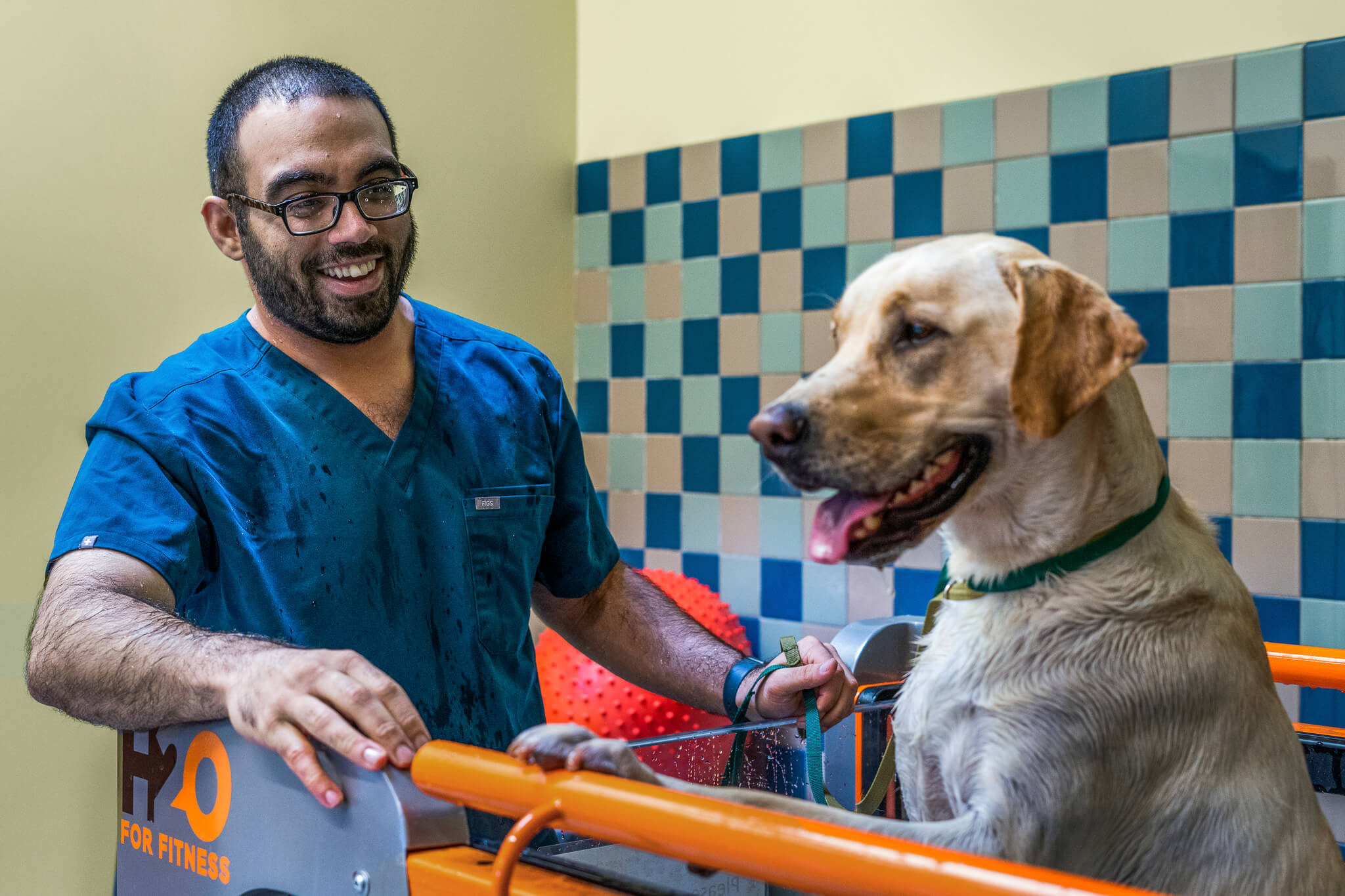 Veterinary staff near underwater treadmill with dog