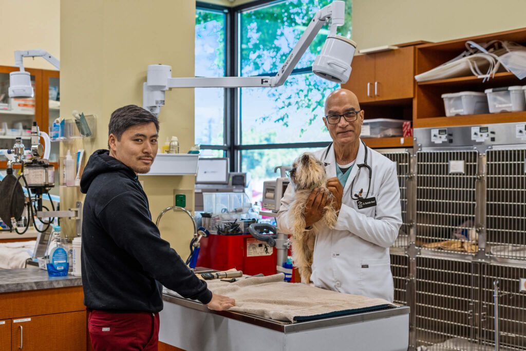 South Bay Animal Hospital & Emergency